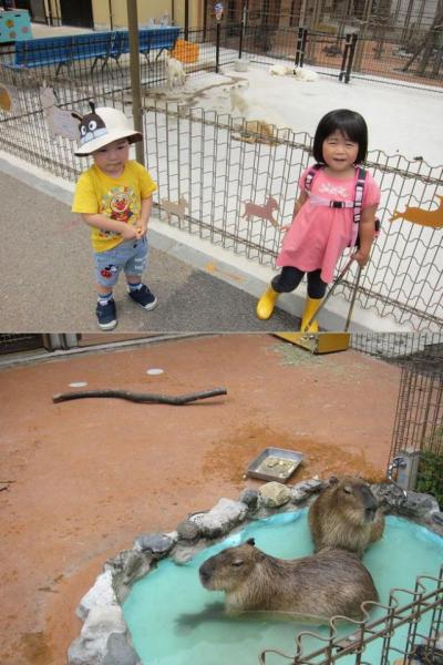 アトレ新浦安：クリーン＆グリーンアクション画像