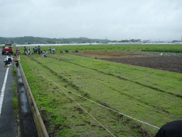 被災地復興支援プロジェクト2012：6/9 復興商店街の訪問＆コットンの種まきをしてきました！画像