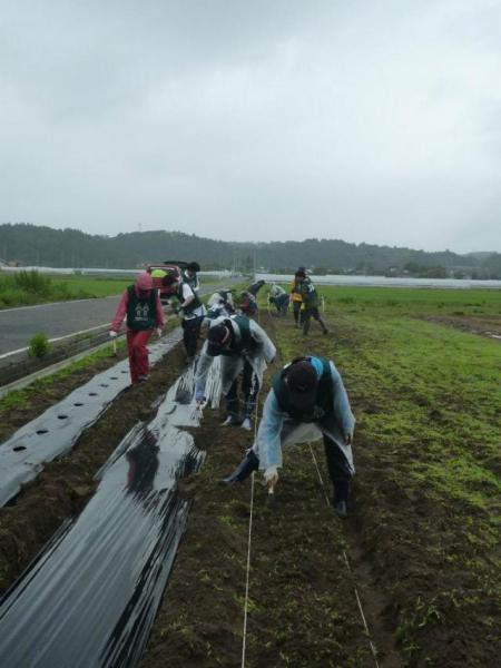 被災地復興支援プロジェクト2012：6/9 復興商店街の訪問＆コットンの種まきをしてきました！画像