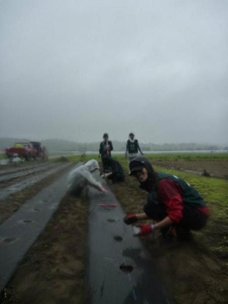 被災地復興支援プロジェクト2012：6/9 復興商店街の訪問＆コットンの種まきをしてきました！画像