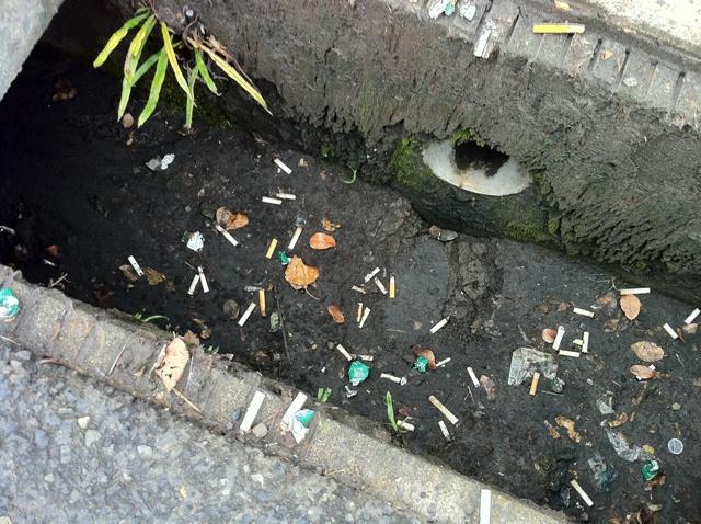 鹿児島チーム　朝おそうじ　中央駅画像