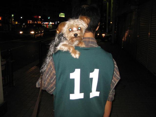 ラッキー初参加☆画像