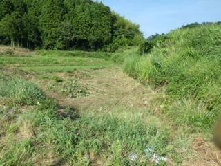 被災地復興支援プロジェクト【第二期】9/8レポート画像