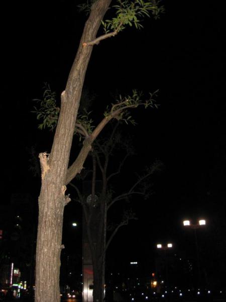 人情ヘルパー隊そうじ画像