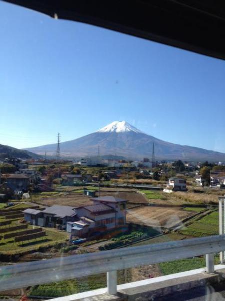富士山樹海そうじ　with  NPO法人富士山クラブ！画像