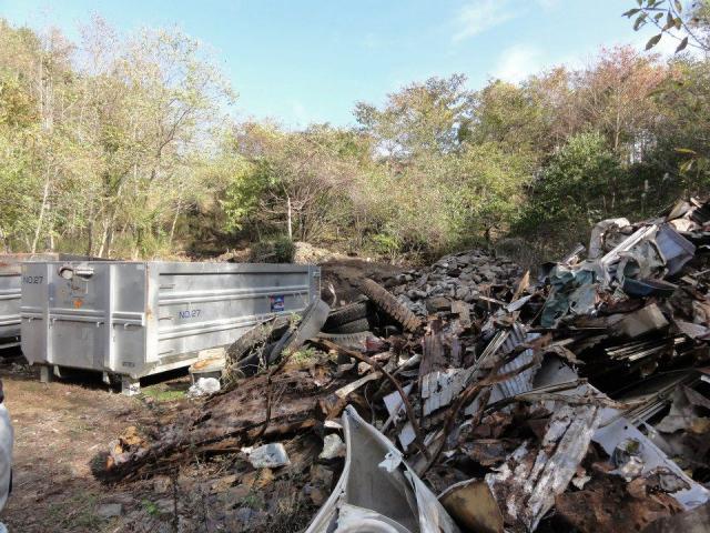 富士山樹海そうじ　with  NPO法人富士山クラブ！画像