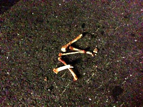 長崎そうじ納め2012画像