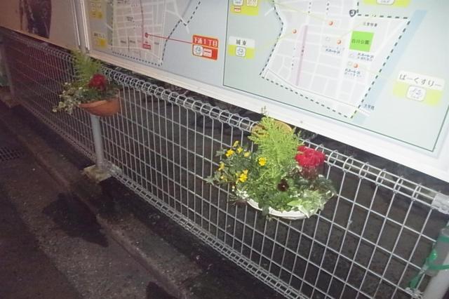 気づけば12月！(&deg;_&deg;)画像