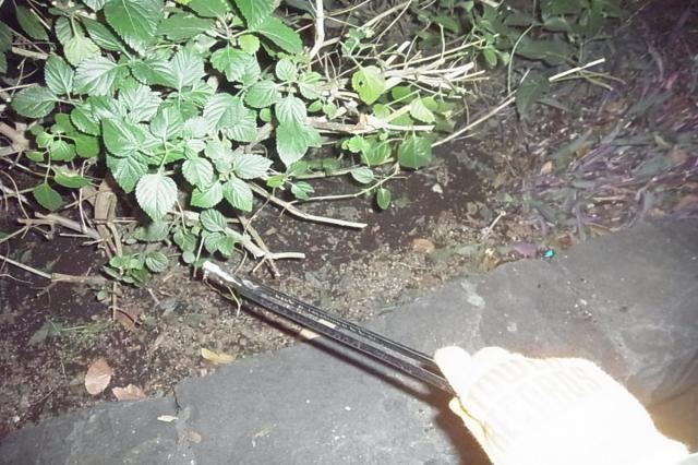 気づけば12月！(&deg;_&deg;)画像