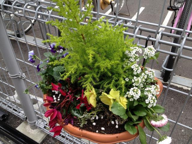 2013年最後の掃除画像