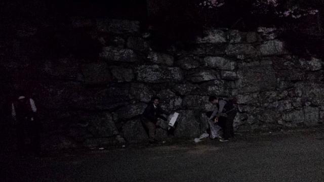 3/30(日)お花見＆おそうじ＠徳島城公園画像