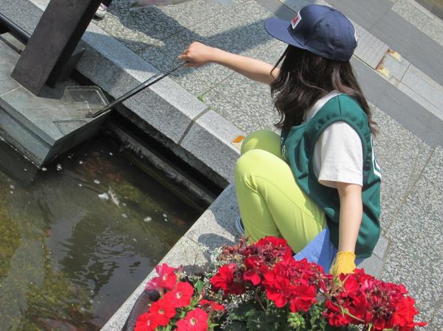 5.31(土)ごみゼロおそうじ！画像