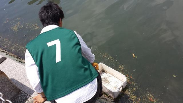 6/7(土)第23回＠水際公園画像