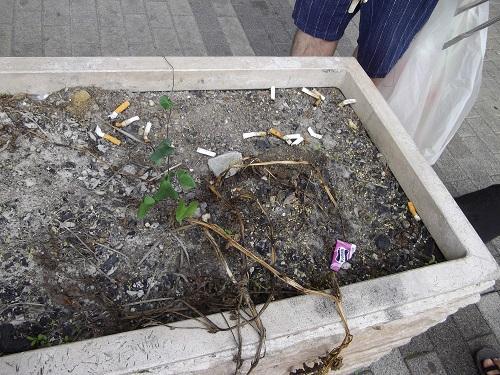 おそうじ日和♪画像