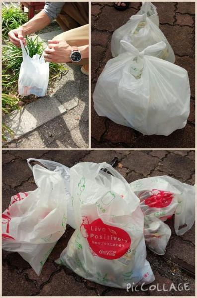 のんびりぐりーんばーど画像