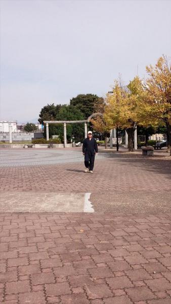 のんびりぐりーんばーど画像