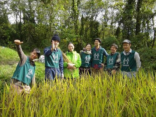 THE★アダルト画像