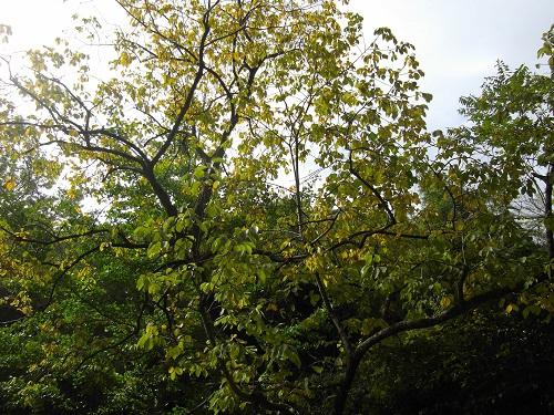 THE★アダルト画像