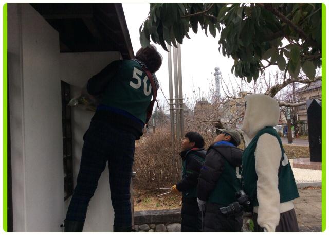 2015 はじめの一歩画像