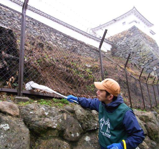 姫路城おしろのお掃除会に参加バード画像