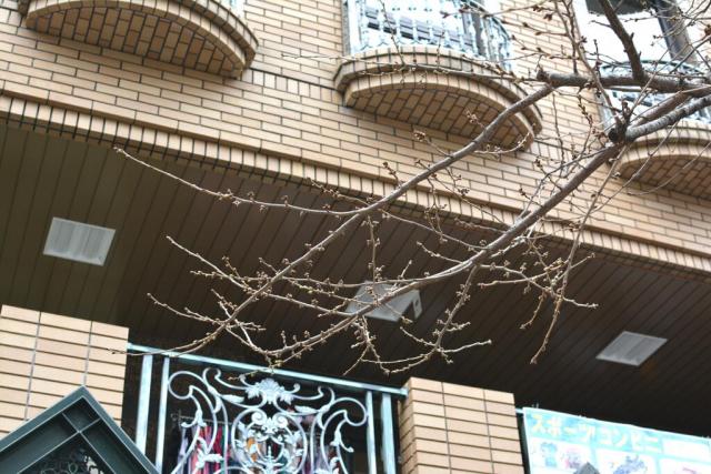 今日のお掃除日記2016年3月13日編画像