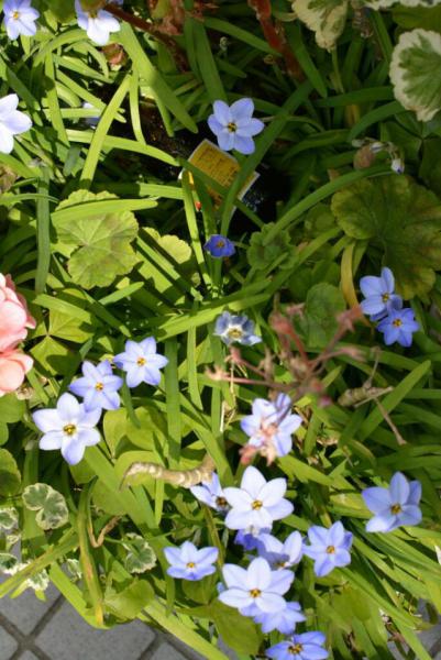 今日のお掃除日記2016年3月27日編画像