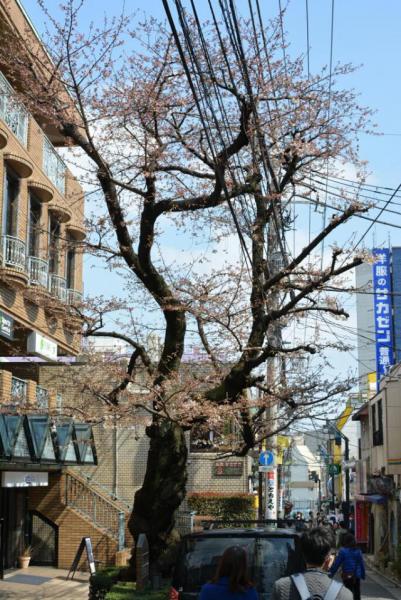 今日のお掃除日記2016年3月27日編画像