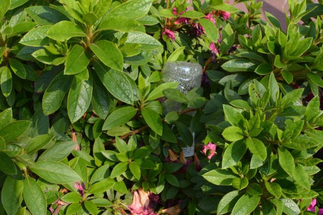 今日のお掃除日記2016年5月1日編画像