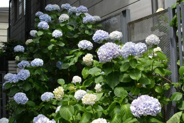 今日のお掃除日記2016年6月12日編画像