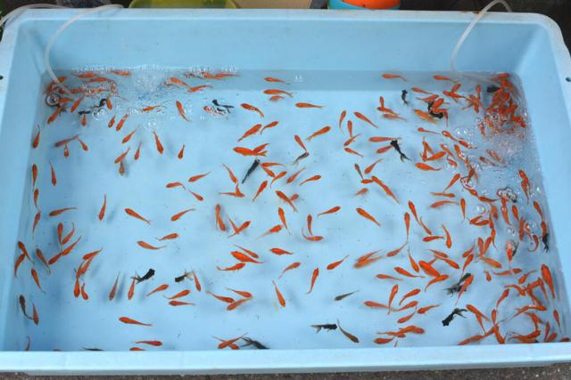 今日のお掃除日記2016年8月14日編画像