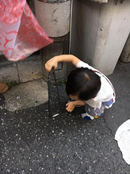 花火にむけて画像