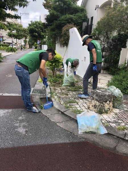 アレックス 泊地区清掃画像