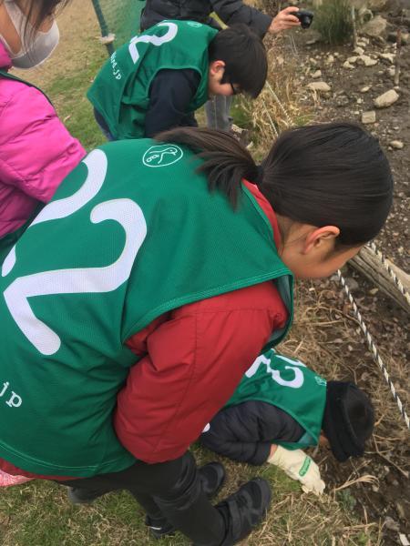 竹早小学校のみんなと江戸川でごみ拾い！画像