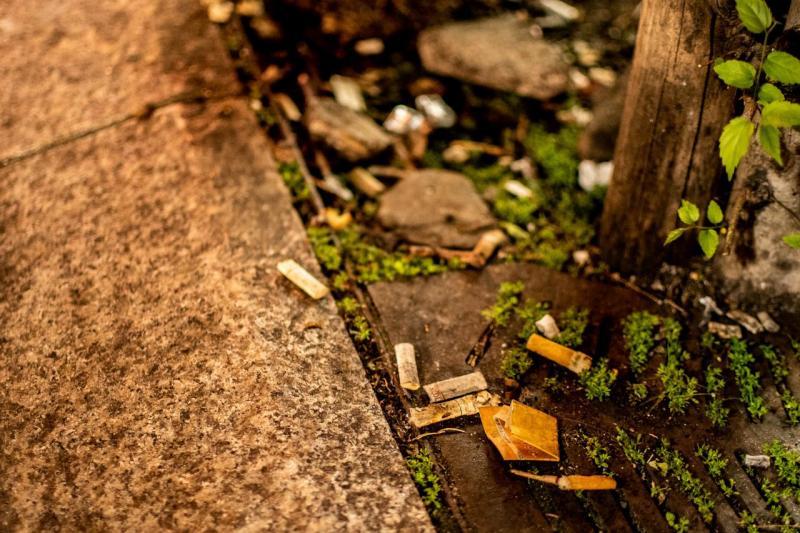 新年明けましておめでとうございます！画像