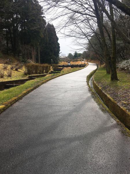 「mineo green project」in七尾！画像