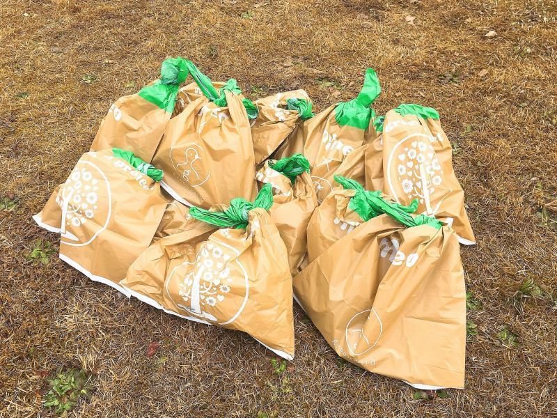 「mineo green project」in七尾！画像