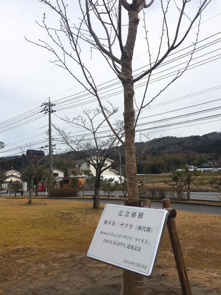 「mineo green project」in七尾！画像