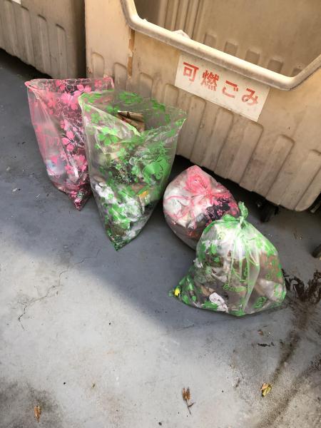 落ち葉の絨毯画像