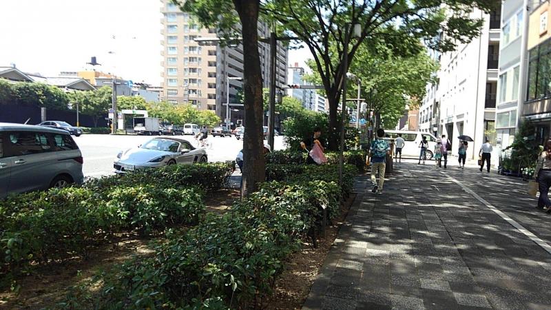 爽やかに活動〜〜〜！画像