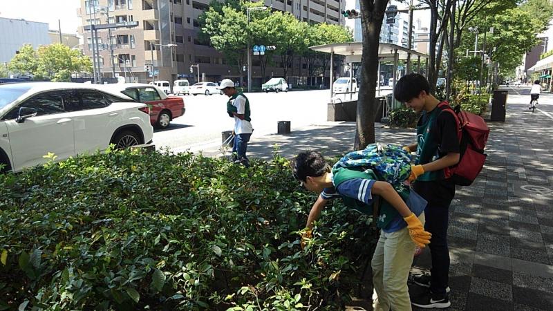 爽やかに活動〜〜〜！画像