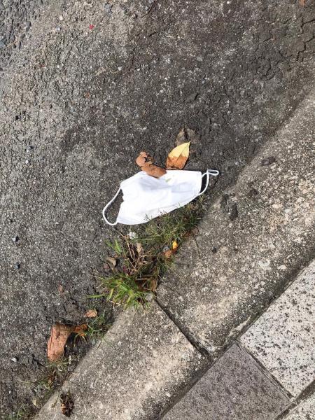 お久しぶりのごみ拾い画像