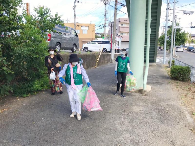 夏空の下でごみ拾い画像