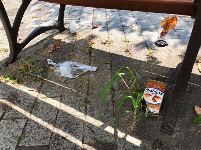 本日はいつもの駅前が&hellip;画像