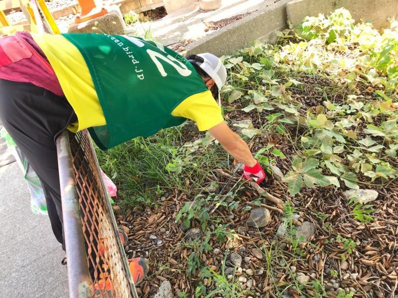 本日はいつもの駅前が&hellip;画像