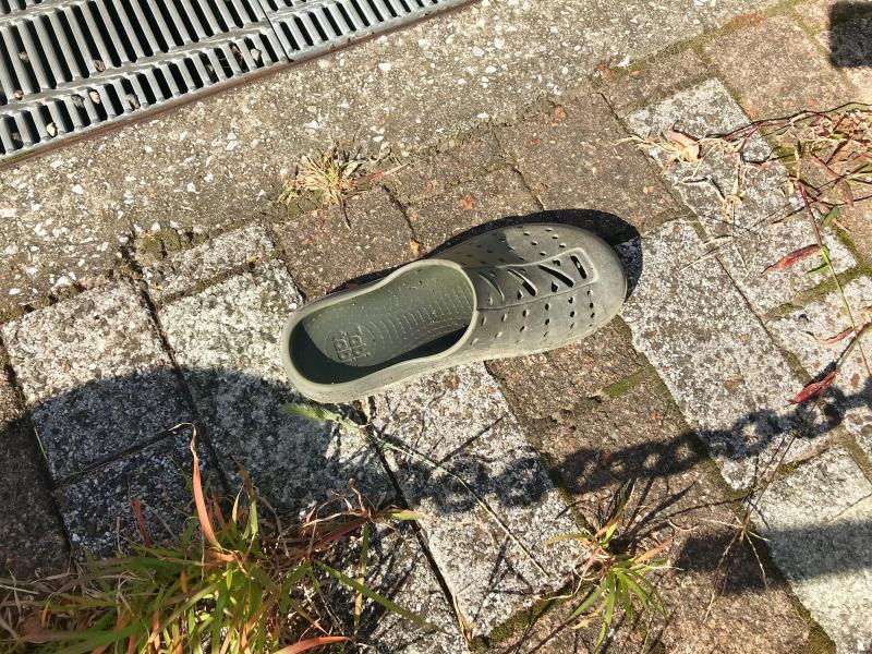 駅前ごみ拾い！トリック・オア・トリート画像