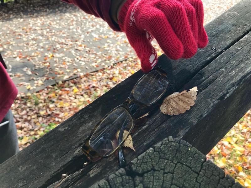 秋晴れごみ拾い♪画像