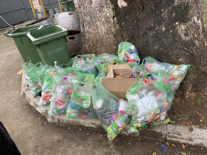 緊急ゴミ拾い活動　チャーチルパークスタジアムにて画像