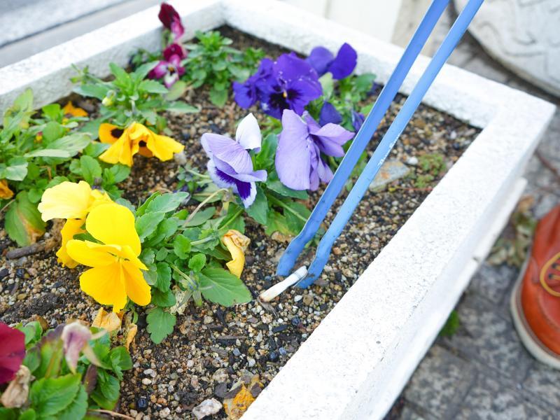 第422回　春よ来い！くらしきゴミ拾い画像