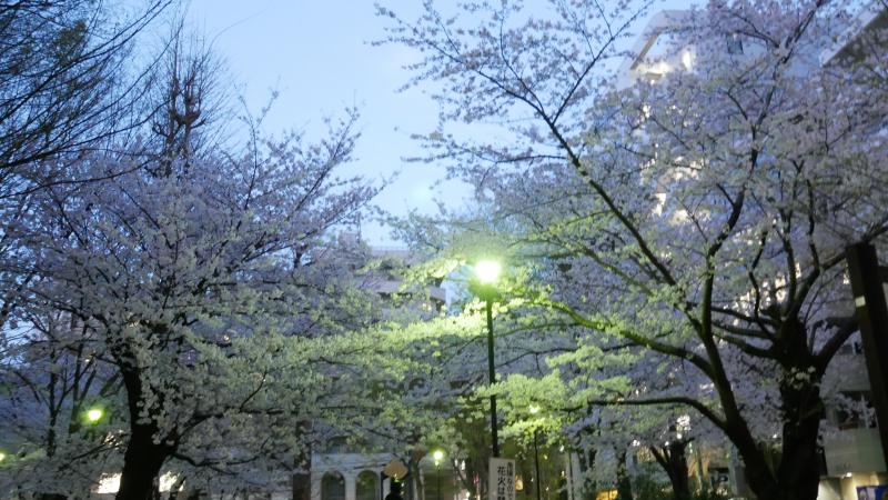 池袋学生そうじ【第6階】画像