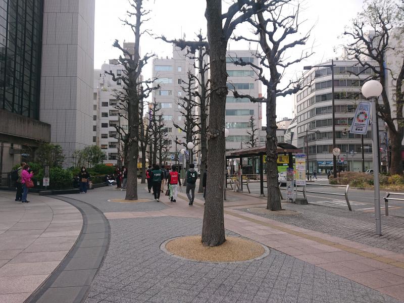 春だーーーー画像